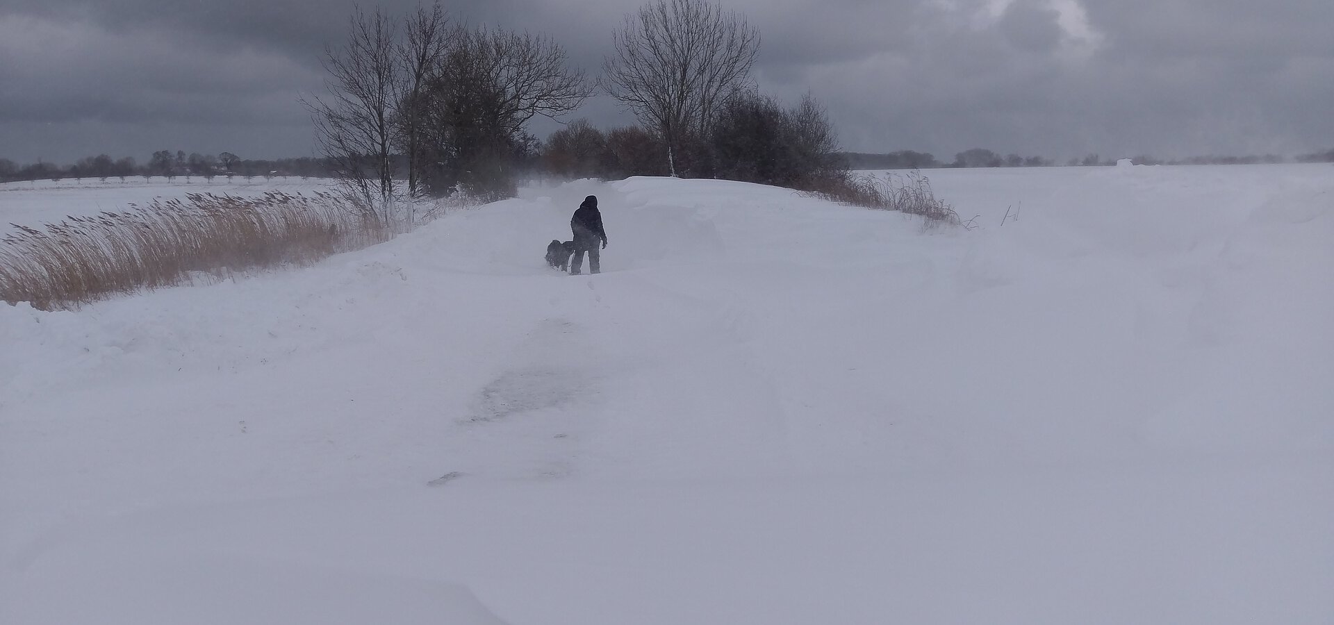 Spaziergang mit Hund auf einem tief verschneiten Weg bei Goldhöft