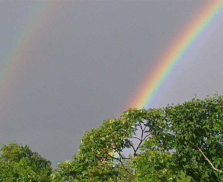 Regenbogen über den Bäumen bei Goldhöft