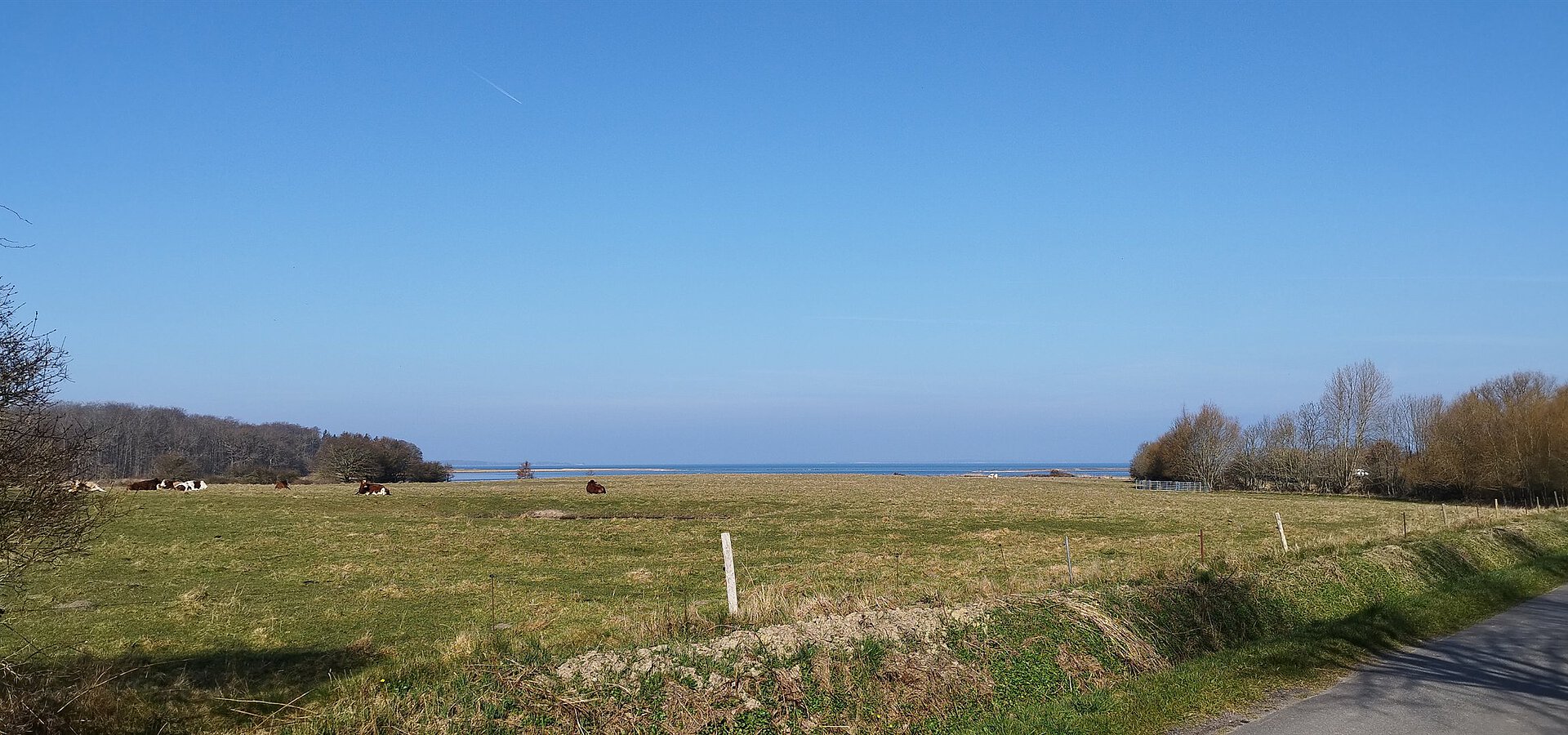 Blick über die Wiesen bei Goldhöft zur Ostsee